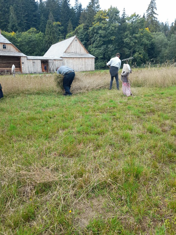 Zdjęcie przedstawia tradycyjną technikę żniwiarską.