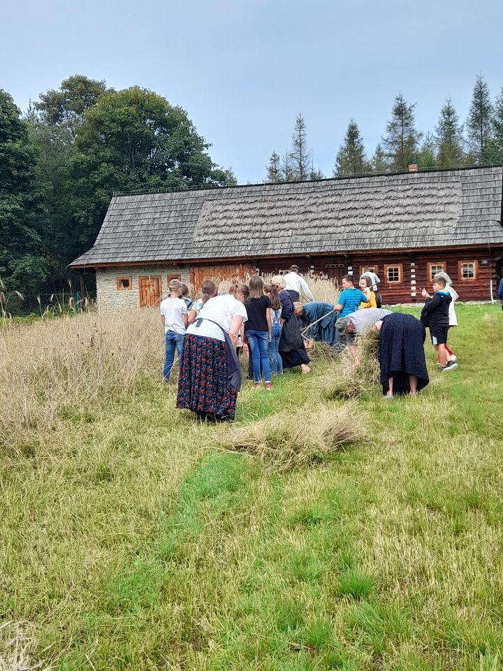 Zdjęcie przedstawia tradycyjną technikę żniwiarską.