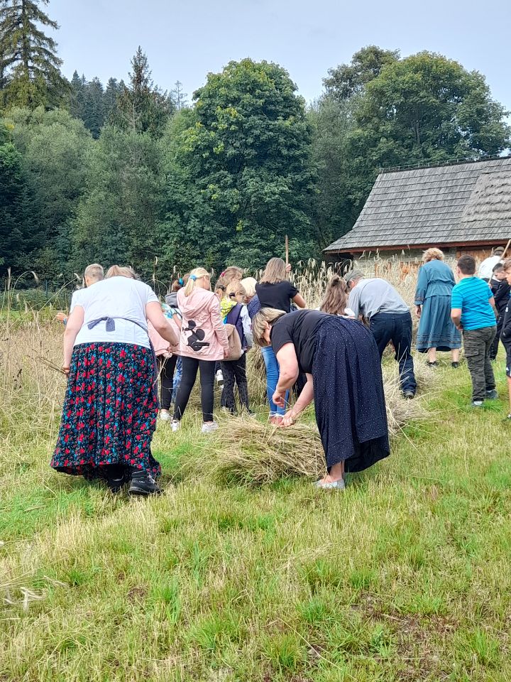 Zdjęcie przedstawia tradycyjną technikę żniwiarską.